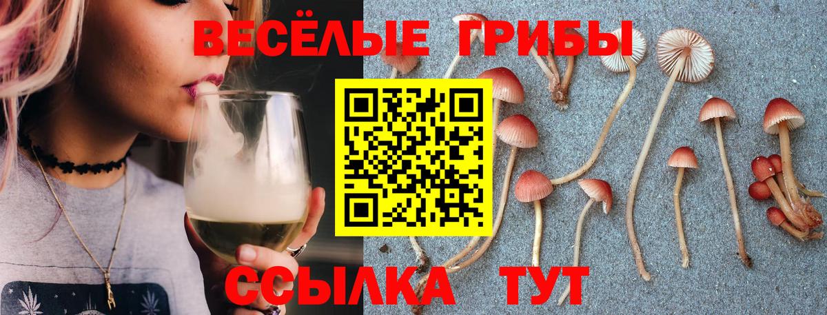 Удомля  Галлюциногенные грибы мухоморы  Вход с VPN 