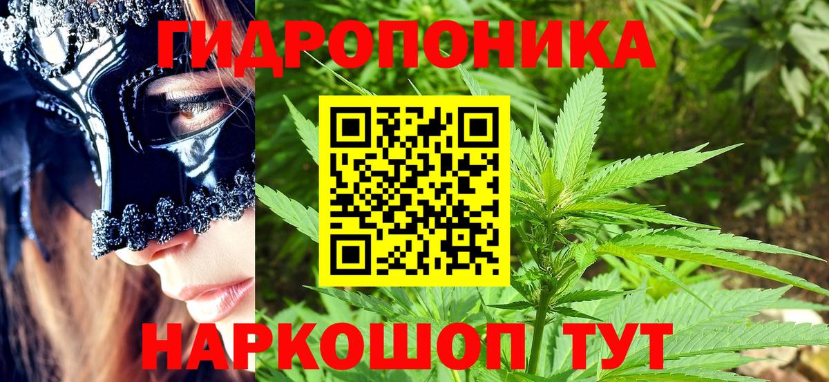 Бошки марихуана SATIVA & INDICA  Конопля план  Шишки марихуана план  Вход с VPN  Удомля  Бошки марихуана Ganja 